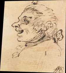 Testa maschile grottesca